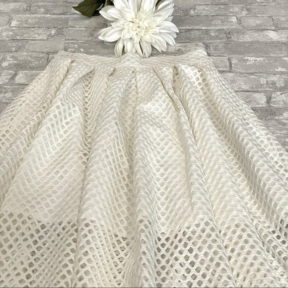 SOLD | Elegant Perforated Eyelet Poodle Skirt NWOT ⚡️HOST PICK⚡️ - Picture 8 of 14
